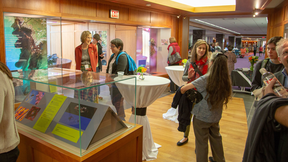 exhibit at library