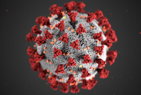 Illustration created by the CDC of the coronavirus